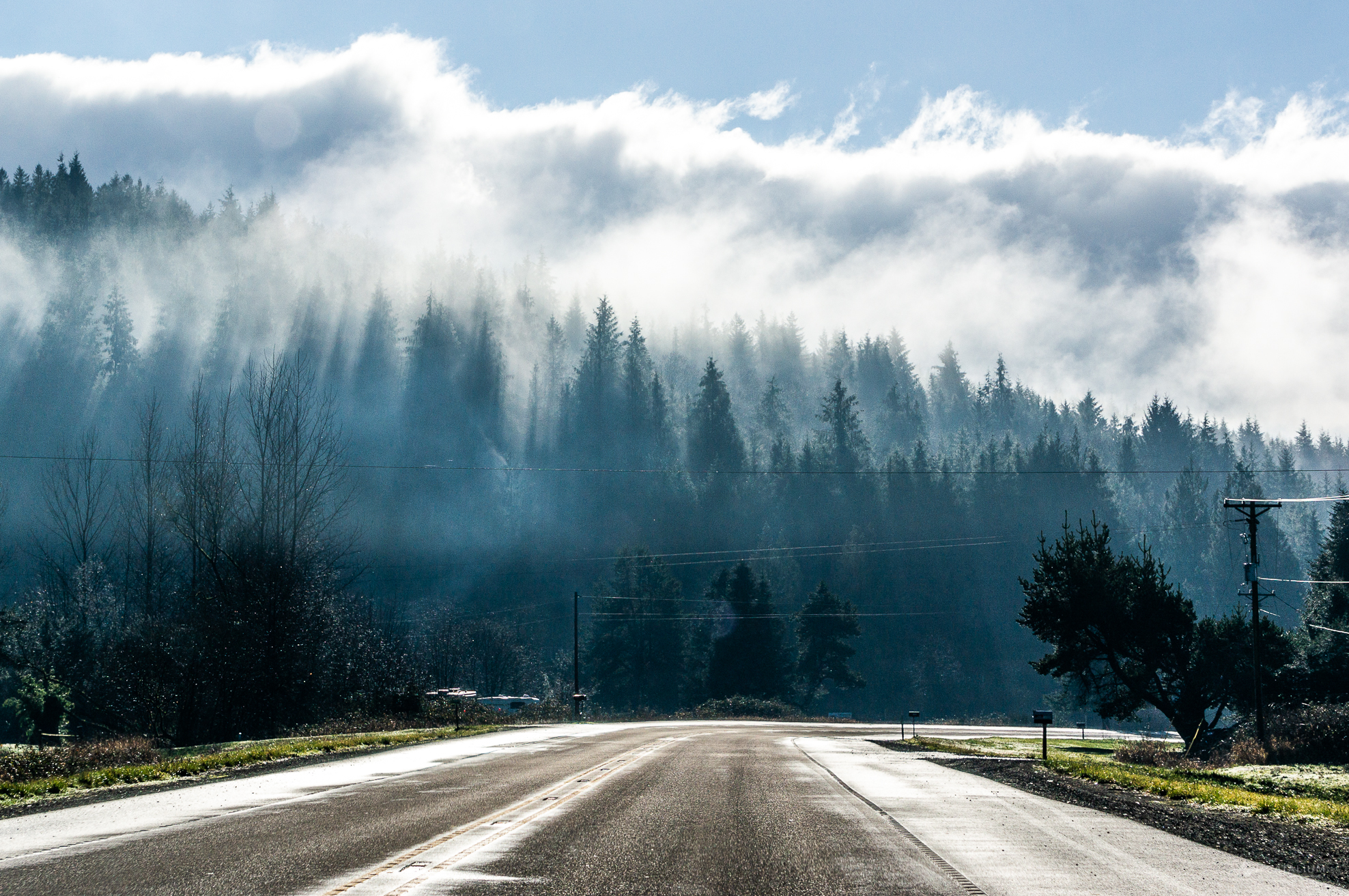 Cloud, road, and the forest