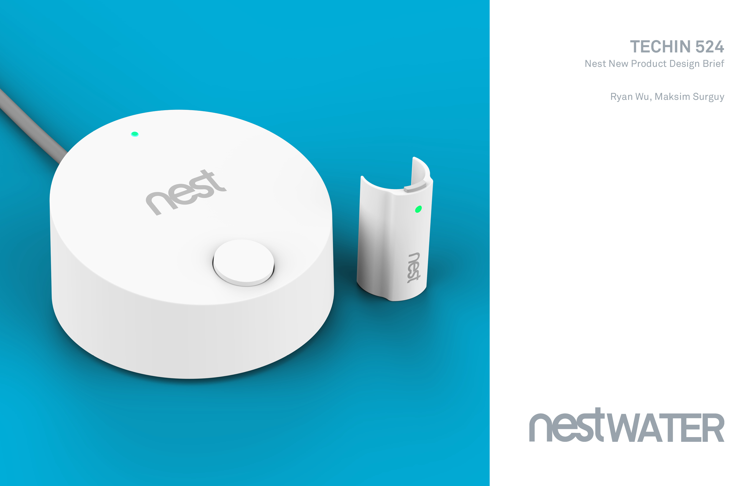 Google Nest - Nest Water concept design by Ryan Wu & Maksim Surguy