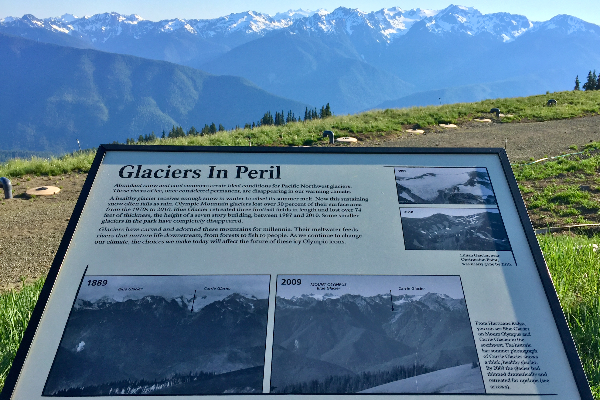 Glaciers in Peril sign in Olympic National Park